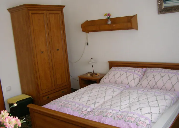 Hany Gasthuis