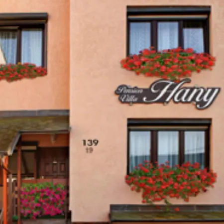 Guest house Hany 3*